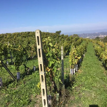 Orbregno Country With Personal Wine Cellar *