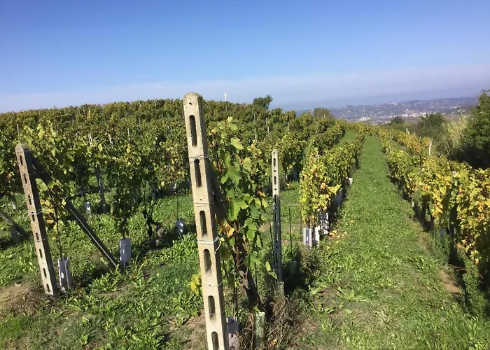 Orbregno Country With Personal Wine Cellar *